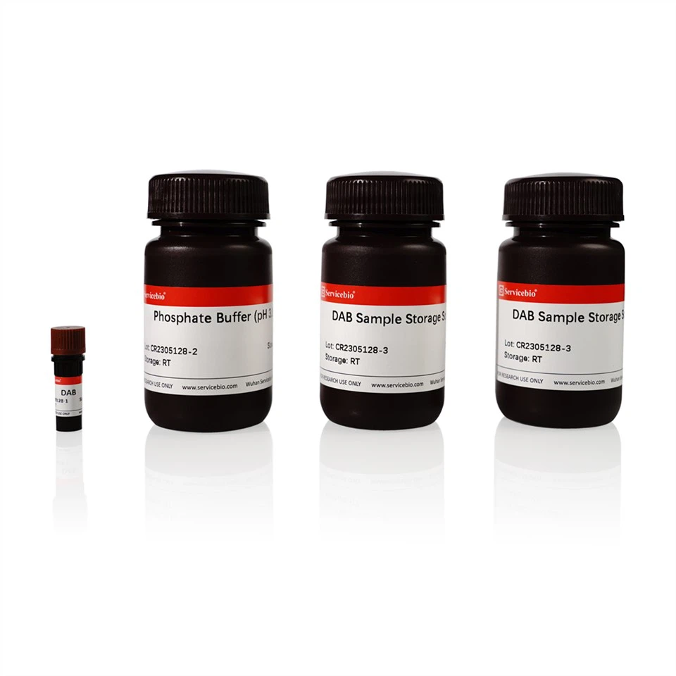 Plant Hydrogen Peroxide Staining Liquid (DAB)