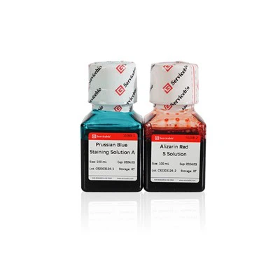 Reactiu de tinció verda de Safranin O-Fast per a teixit ossi